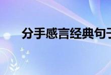 分手感言经典句子（分手感悟有哪些）