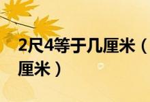 2尺4等于几厘米（生活小常识：2尺4是多少厘米）
