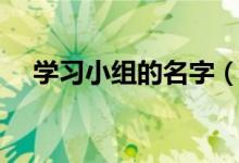 学习小组的名字（学习小组的名字精选）