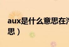 aux是什么意思在汽车配置里（aux是什么意思）