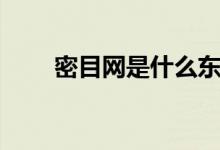 密目网是什么东西（多少钱一平方）