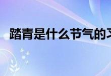 踏青是什么节气的习俗（踏青是什么意思）