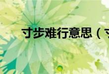 寸步难行意思（寸步难行意思是什么）