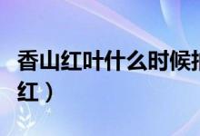 香山红叶什么时候拍的（香山红叶什么时间最红）