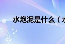 水炮泥是什么（水炮泥具有什么作用）
