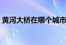 黄河大桥在哪个城市（黄河大桥最长的在哪）