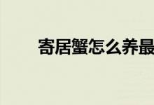 寄居蟹怎么养最好（寄居蟹怎么养）