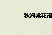 秋海棠花语（秋海棠介绍）