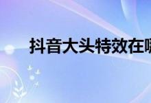 抖音大头特效在哪里（抖音大头特效）