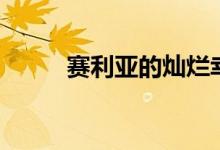 赛利亚的灿烂幸运礼盒（赛利亚）