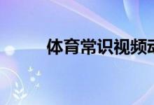 体育常识视频动画片（体育常识）