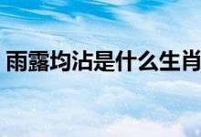 雨露均沾是什么生肖（雨露均沾是什么意思）