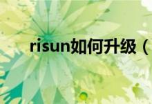 risun如何升级（简介risun如何升级）