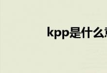  kpp是什么意思 kpp的解释 