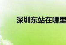 深圳东站在哪里（深圳东站位于哪）
