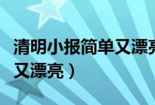 清明小报简单又漂亮文字内容（清明小报简单又漂亮）