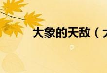 大象的天敌（大象相关资料介绍）