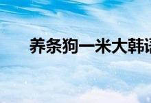 养条狗一米大韩语意思（养条狗搞我）