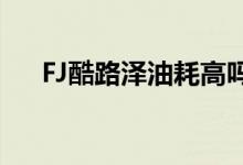  FJ酷路泽油耗高吗真实车主是这样说的 