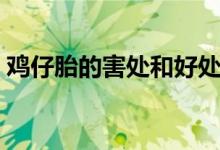 鸡仔胎的害处和好处（鸡仔胎的害处有哪些）