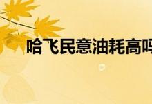  哈飞民意油耗高吗真实车主是这样说的 