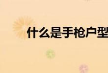 什么是手枪户型（为什么不能购买）