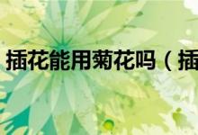 插花能用菊花吗（插菊花的方法和注意事项）