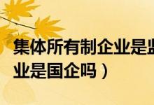 集体所有制企业是监察对象吗（集体所有制企业是国企吗）
