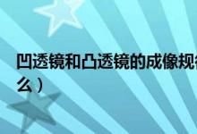 凹透镜和凸透镜的成像规律（凹透镜的作用及成像规律是什么）