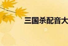 三国杀配音大全（三国杀配音）