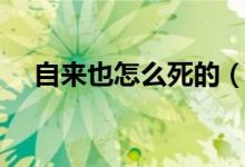 自来也怎么死的（火影忍者的作者是谁）