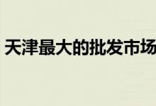 天津最大的批发市场（天津有哪些批发市场）