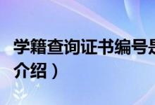 学籍查询证书编号是什么（学籍查询证书编号介绍）