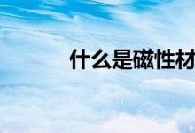 什么是磁性材料（它有何特点）