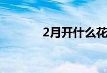 2月开什么花（2月开哪些花）