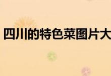 四川的特色菜图片大全（四川的特色有哪些）