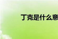 丁克是什么意思（什么是丁克）