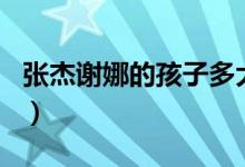张杰谢娜的孩子多大了（张杰谢娜的孩子几岁）
