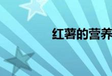 红薯的营养（红薯的作用）