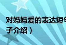 对妈妈爱的表达短句子（对妈妈爱的表达短句子介绍）