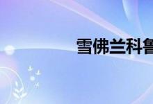  雪佛兰科鲁兹尾翼多少钱 