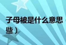 子母被是什么意思（子母被的优点与缺点有哪些）