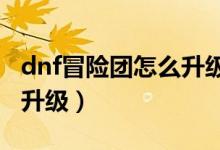 dnf冒险团怎么升级快2021（dnf冒险团怎么升级）