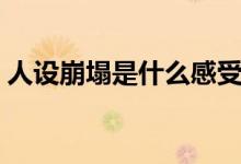 人设崩塌是什么感受（人设崩塌是什么意思）