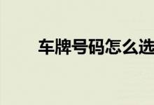 车牌号码怎么选（怎么选车牌号码）