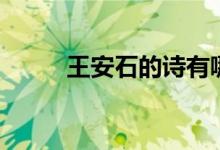 王安石的诗有哪些（王安石简介）