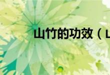 山竹的功效（山竹的功效是什么）