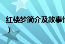 红楼梦简介及故事情节（红楼梦故事情节介绍）
