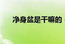 净身盆是干嘛的（净身盆的使用方法）