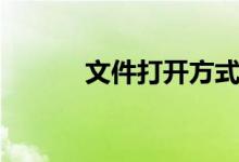文件打开方式（文件打开方式）